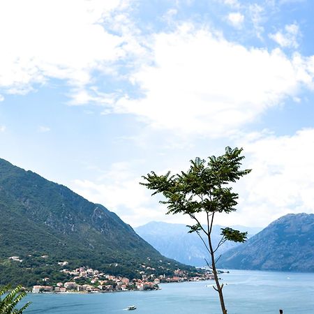 Appartement Animil 1 à Kotor Extérieur photo