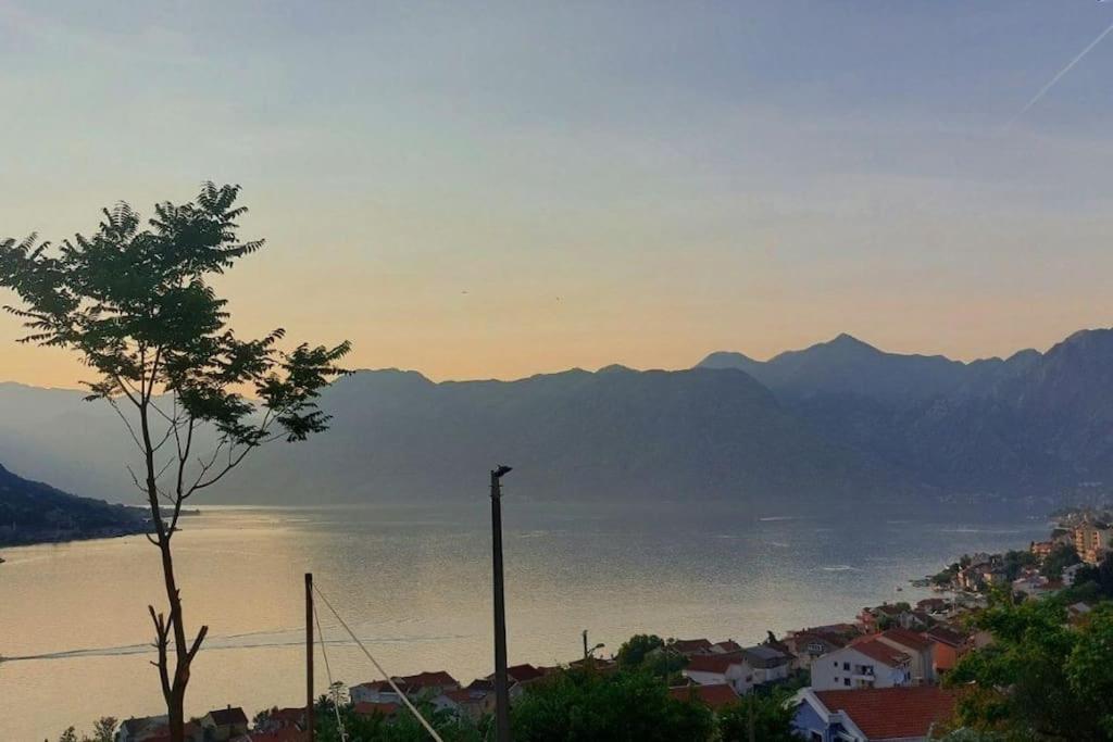 Appartement Animil 1 à Kotor Extérieur photo